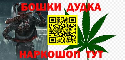 крисы Нальчик